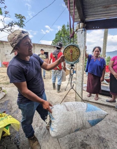 画像3: グアテマラ ロスマ農園　200g (3)