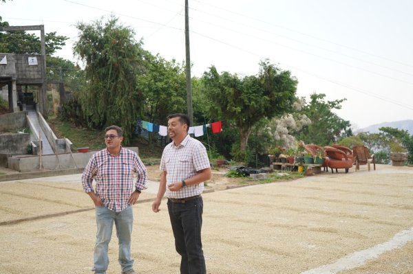 画像2: グアテマラ アクセルパラシオス 200g (2)