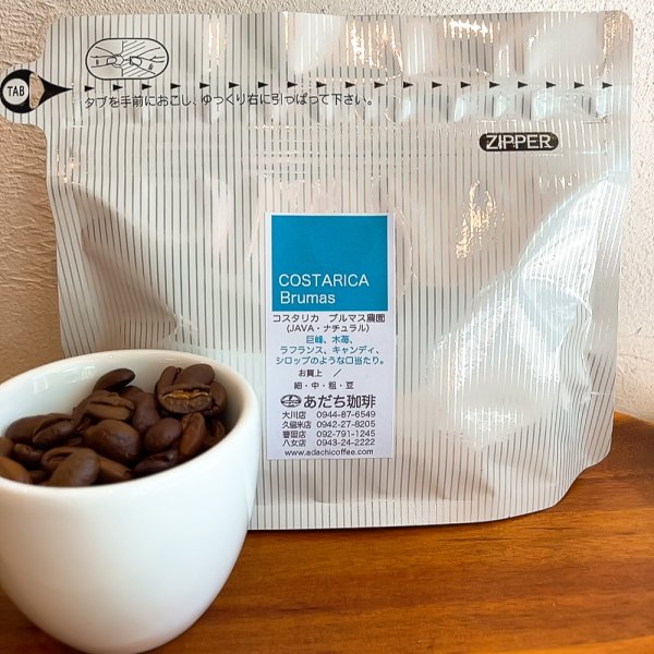 画像1: コスタリカ　ブルマス農園（JAVA・ナチュラル）100g (1)