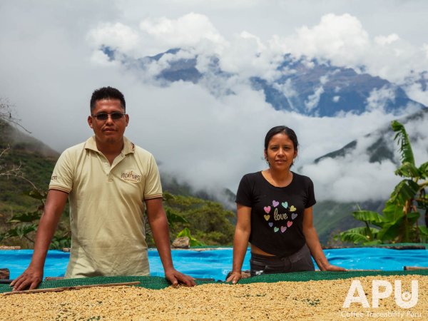 画像3: '24ペルーCOE20位 ラ・エンカンターダ農園(ゲイシャ) 100g (3)