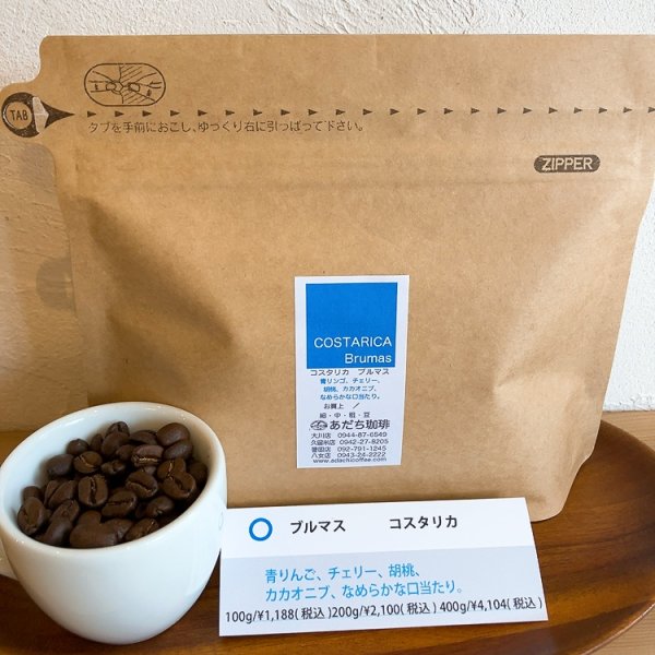 画像1: コスタリカ　ブルマス（ウォッシュト）200g (1)