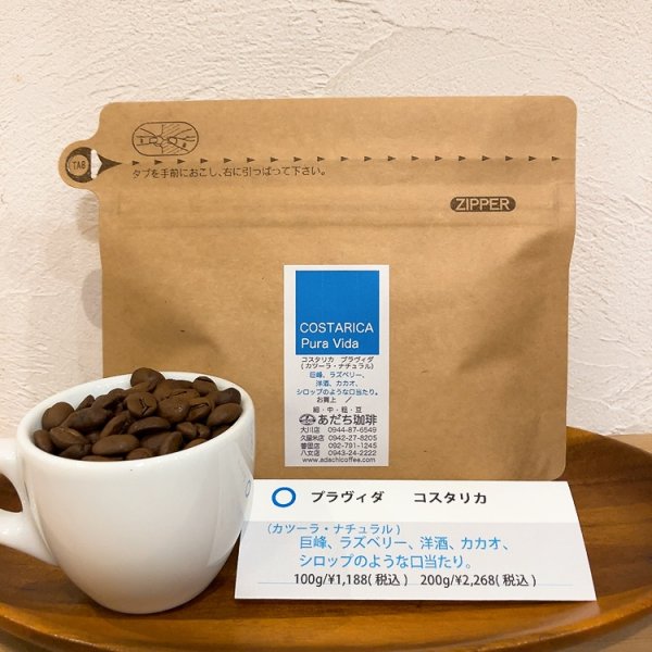 画像1: コスタリカ　プラヴィダ（カツーラ・ナチュラル）100g (1)