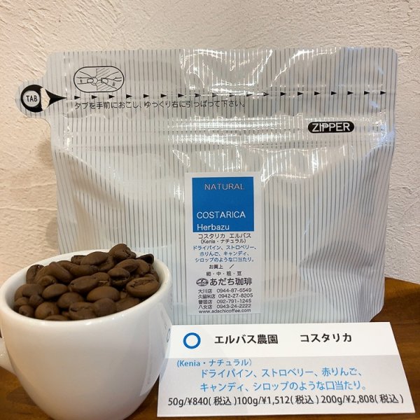 画像1: コスタリカ　エルバス（kenia種・ナチュラル）　50g (1)