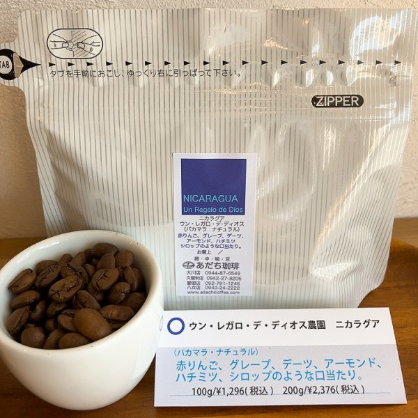 画像1: ニカラグア  ウン・レガロ・デ・ディオス(パカマラ・ナチュラル） 100g (1)