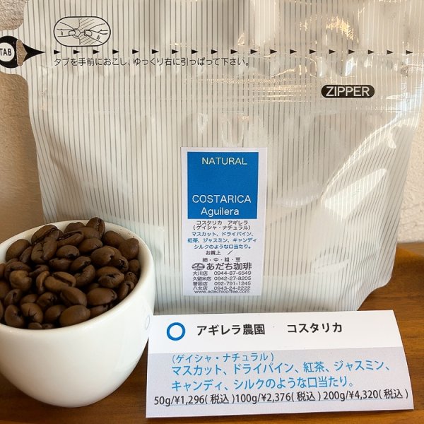 画像1: コスタリカ　アギレラ（ゲイシャ・ナチュラル）100g (1)