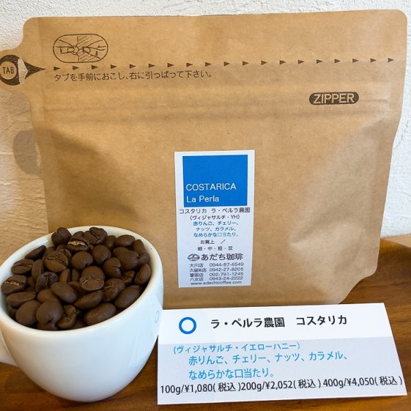 画像1: コスタリカ 　ラ・ペルラ農園 200g（ヴィジャサルチ・イエローハニー) (1)