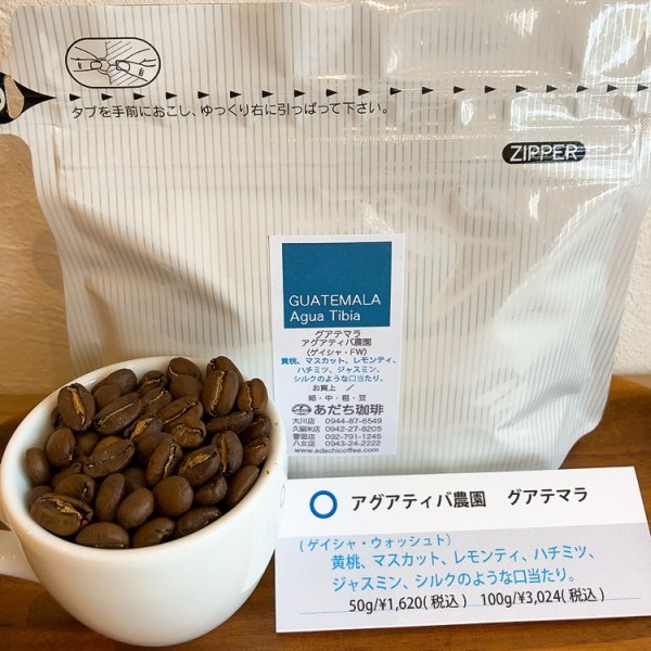 画像1: グアテマラ アグア・ティビア農園(ゲイシャ・FW)　50g (1)