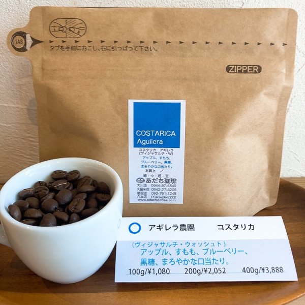 画像1: コスタリカ　アギレラ農園（ヴィジャサルチ・ウォッシュト）200g (1)