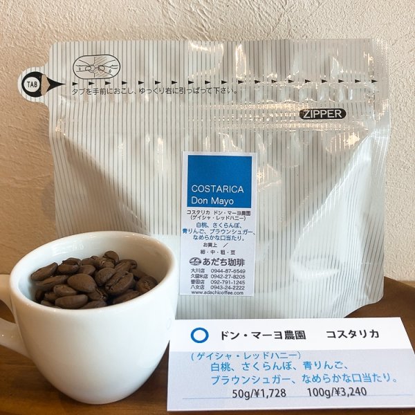 画像1: コスタリカ　ドン・マーヨ農園（ゲイシャ・レッドハニー)　100g　 (1)