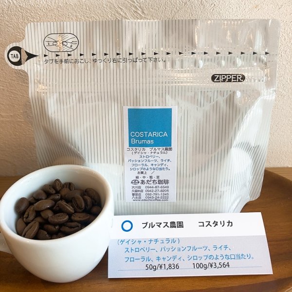 画像1: コスタリカ　ブルマス農園（ゲイシャ・ナチュラル）100g (1)