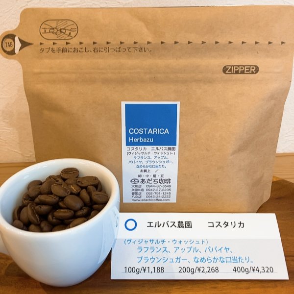 画像1: コスタリカ　エルバス農園（ヴィジャサルチ・ウォッシュト） 200g (1)