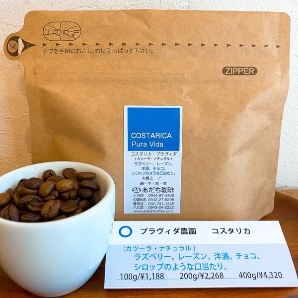 画像1: コスタリカ　プラヴィダ（カツーラ・ナチュラル）200g (1)
