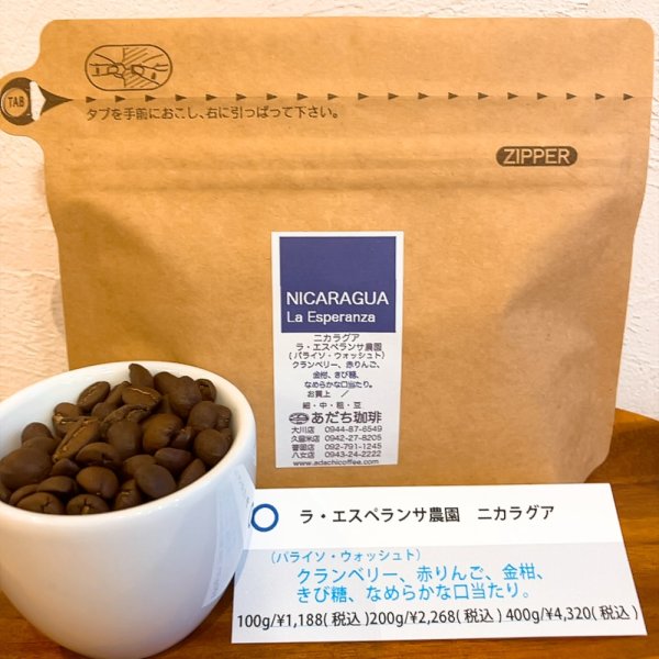 画像1: ニカラグア　ラ・エスペランサ農園（パライソ・ウオッシュト） 400g (1)