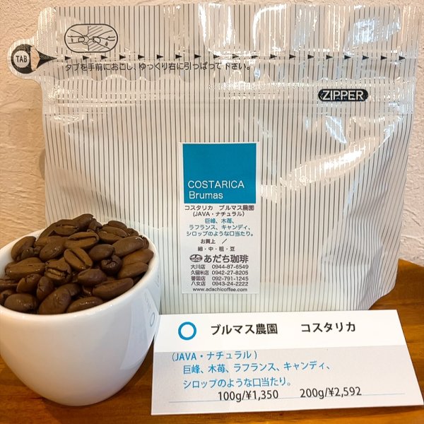 画像1: コスタリカ　ブルマス農園（JAVA・ナチュラル）100g (1)